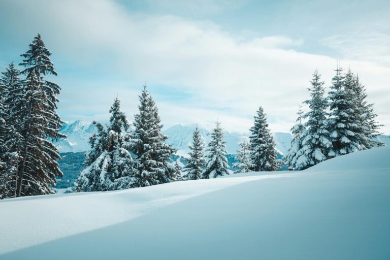 featured-image